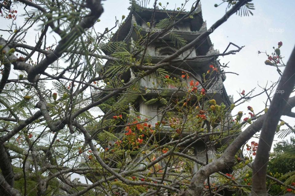 Vietnam Pagoda