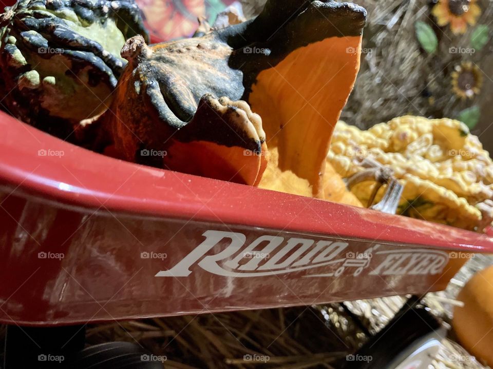 Radio Flyer full of gords and pumpkins 🎃