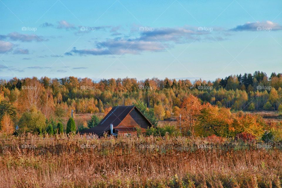 autumn landscapes and trees in colorful outfits