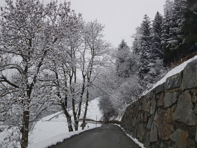 winter❄