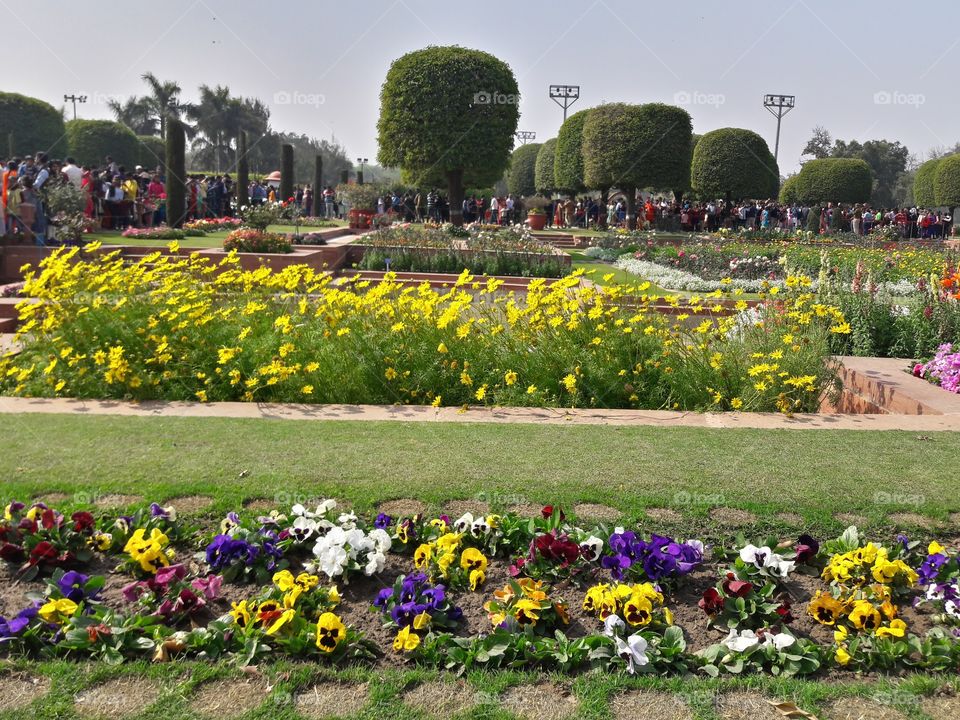 Mughal Garden, New Delhi