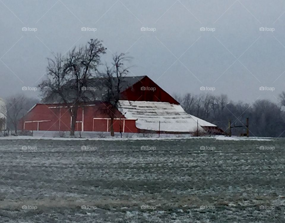 Red Barn in Winter