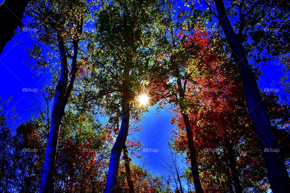 Fall views in Michigan 