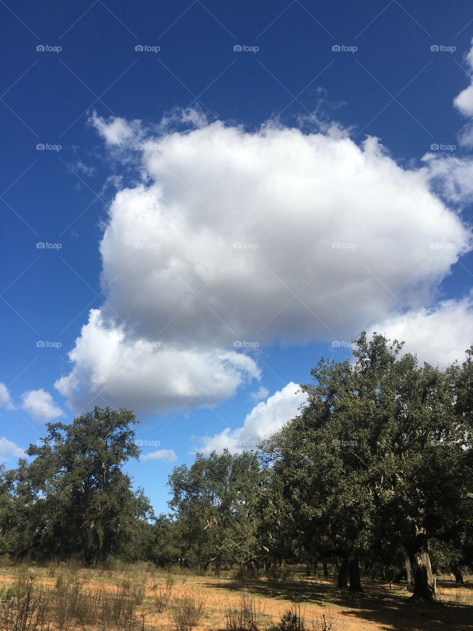 Green white and blue colours 