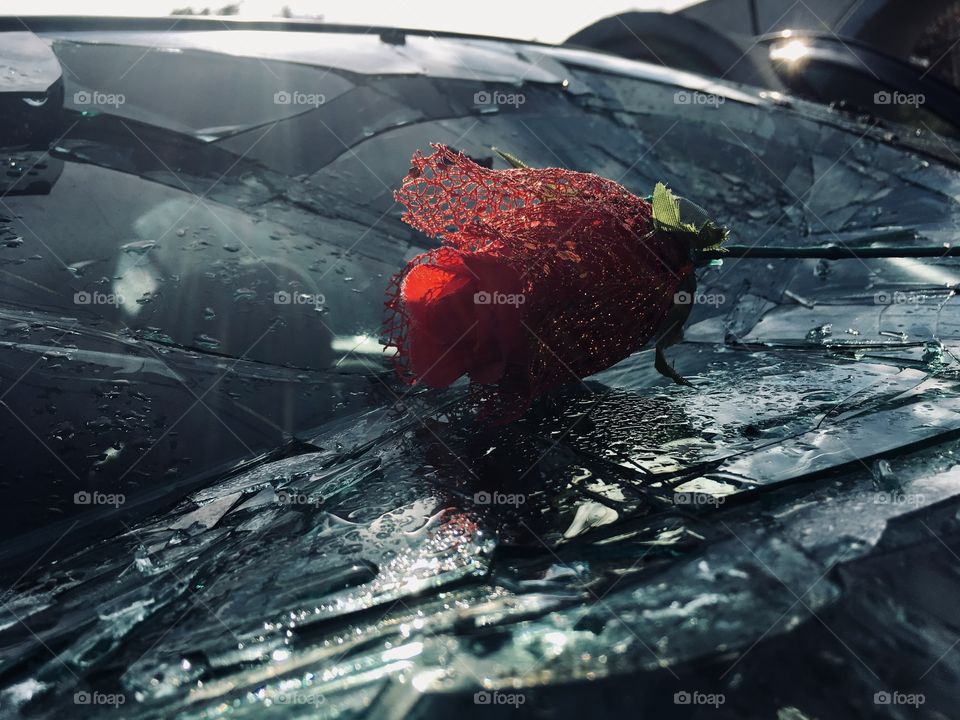 Broken glass windshield with a red rose 🌹
