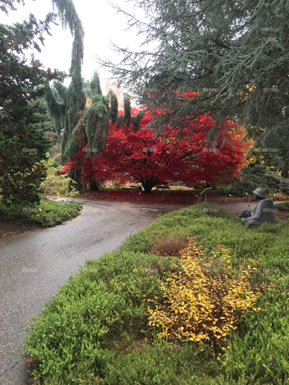 Loki Schmidt Garten Hamburg im Herbst 