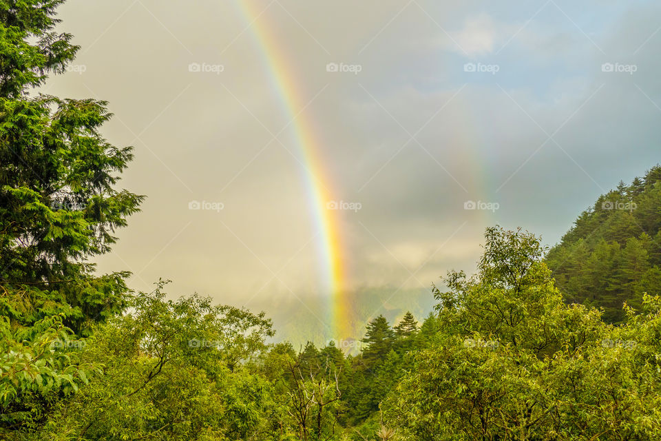 Beautiful rainbow in the morning view