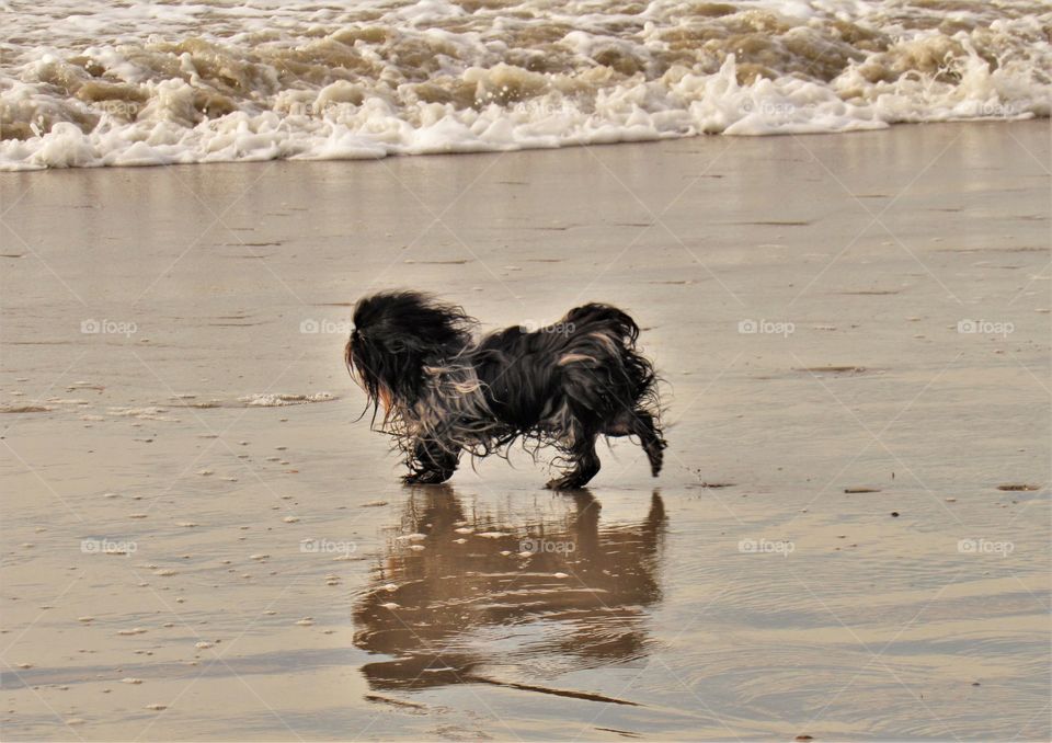 On the beach