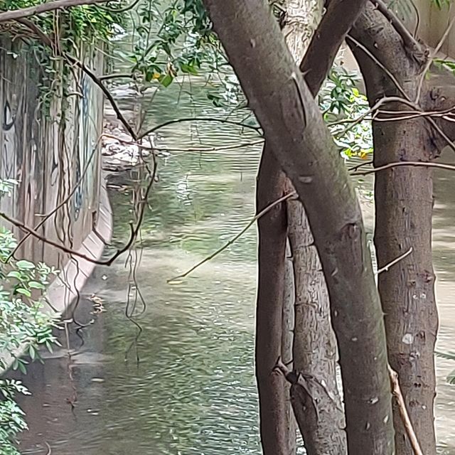 River calling help