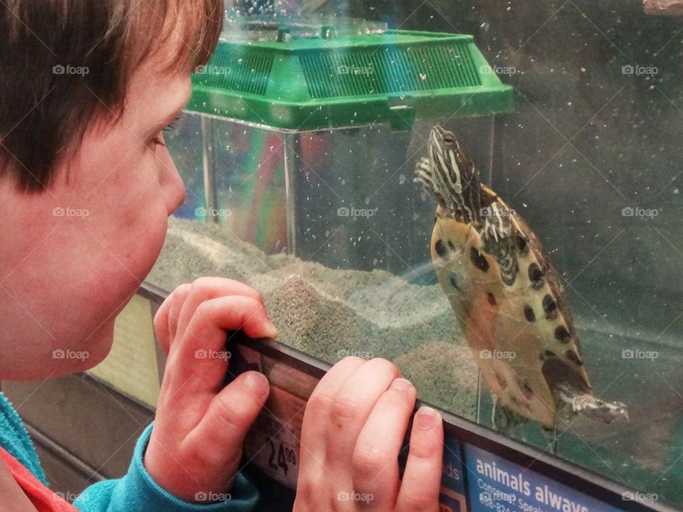 Young Boy At The Pet Store
