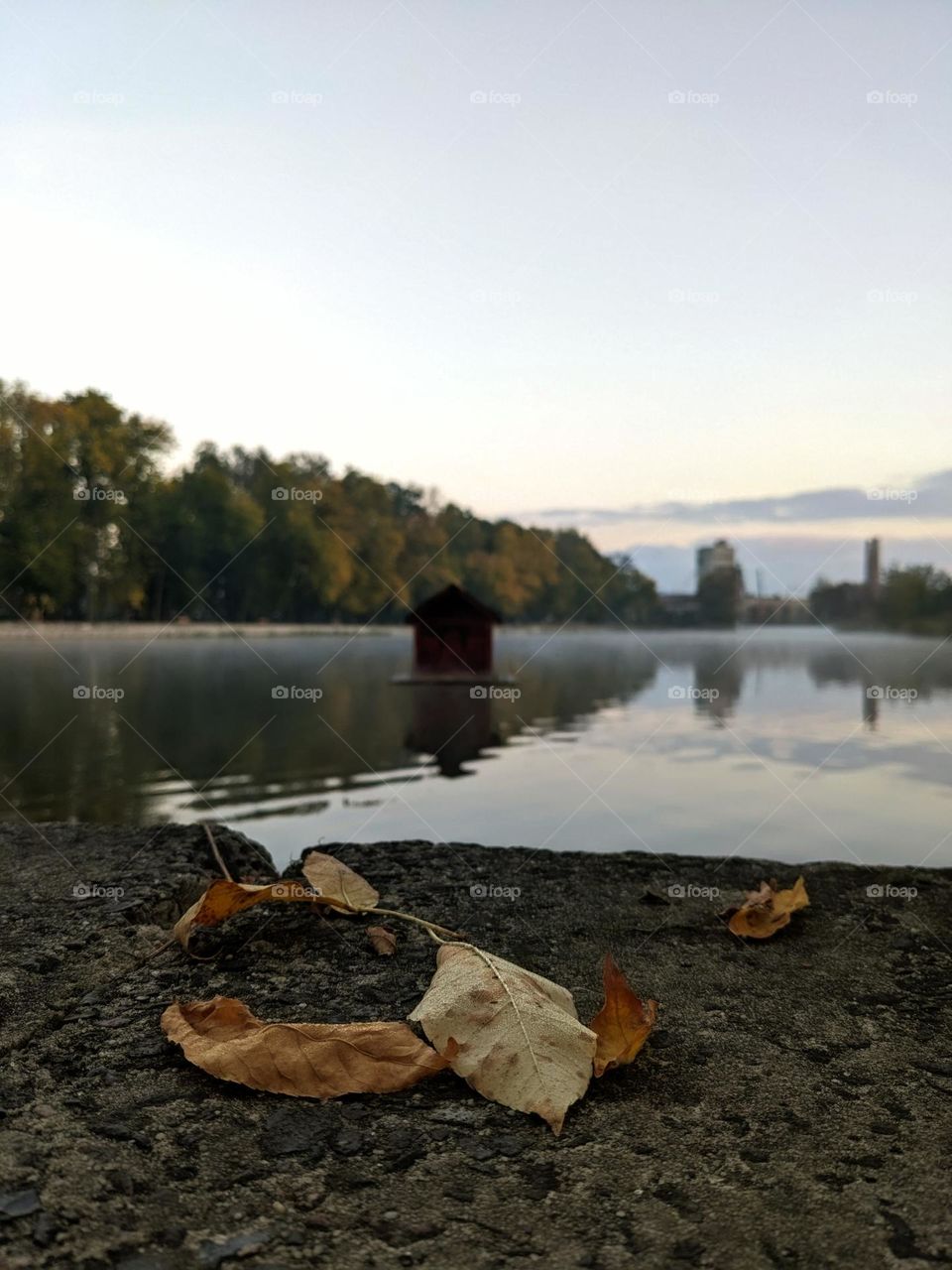 Amazing October's morning