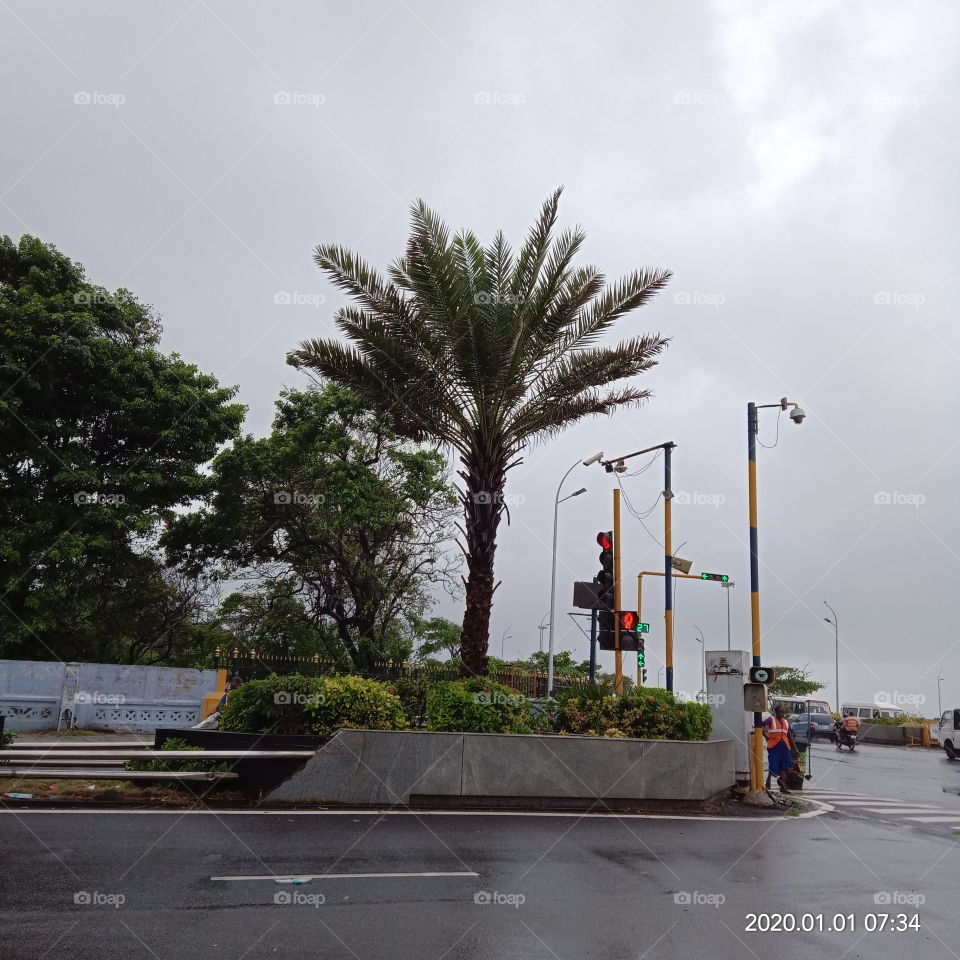 Rainy season of 2020!