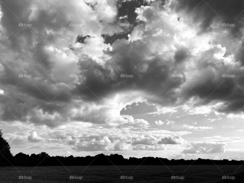 Nature black and white