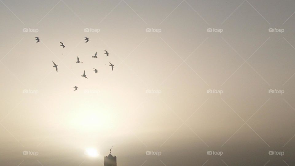 Behind the minaret  are flocks of pigeons flying in the sky depositing the sunset.