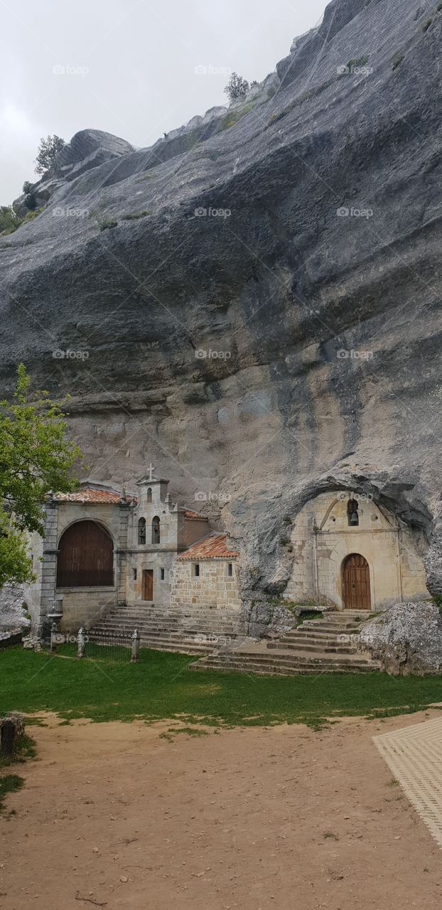 👨‍👩‍👧‍👧🌻