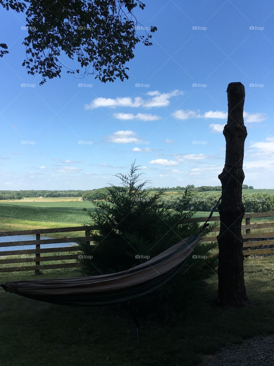 Hammock on the farm
