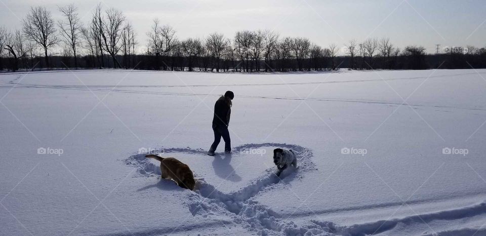 Dogs playing in heart snow art