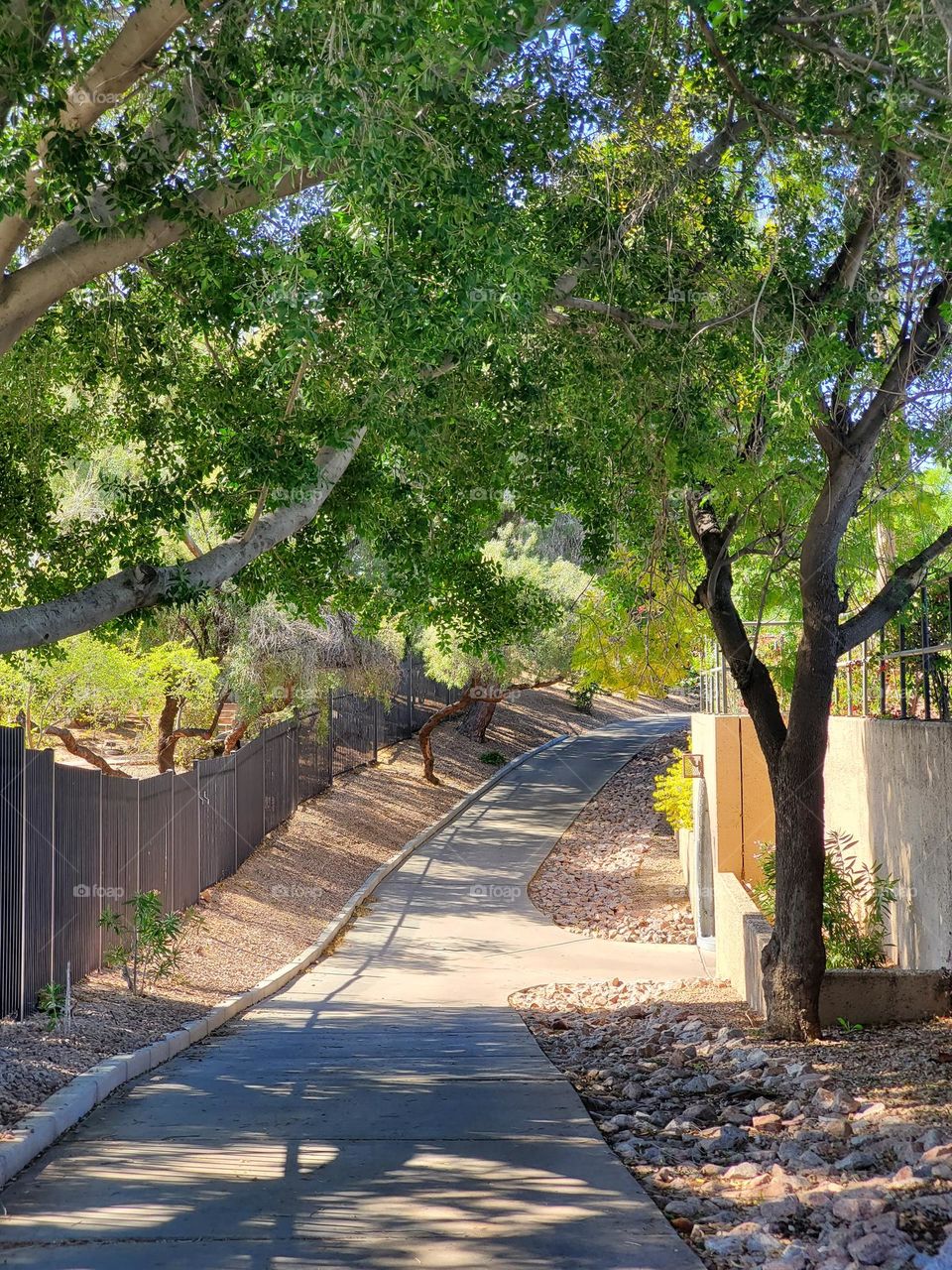 Sidewalk Stroll on a Spring Day