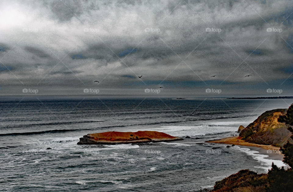 Birds flying against storm clouds