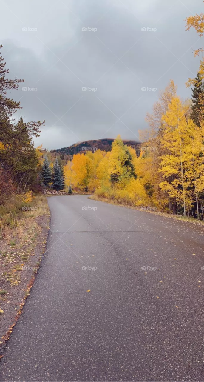 Rainy autumn day
