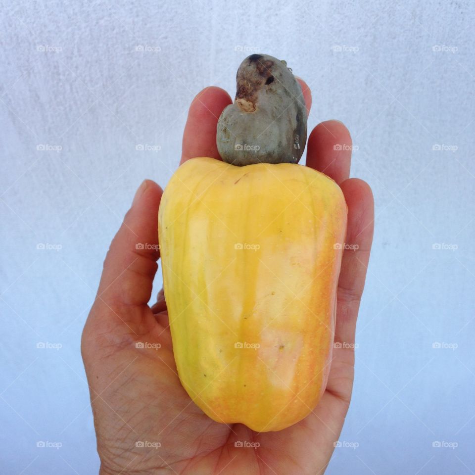 Cashew fruit