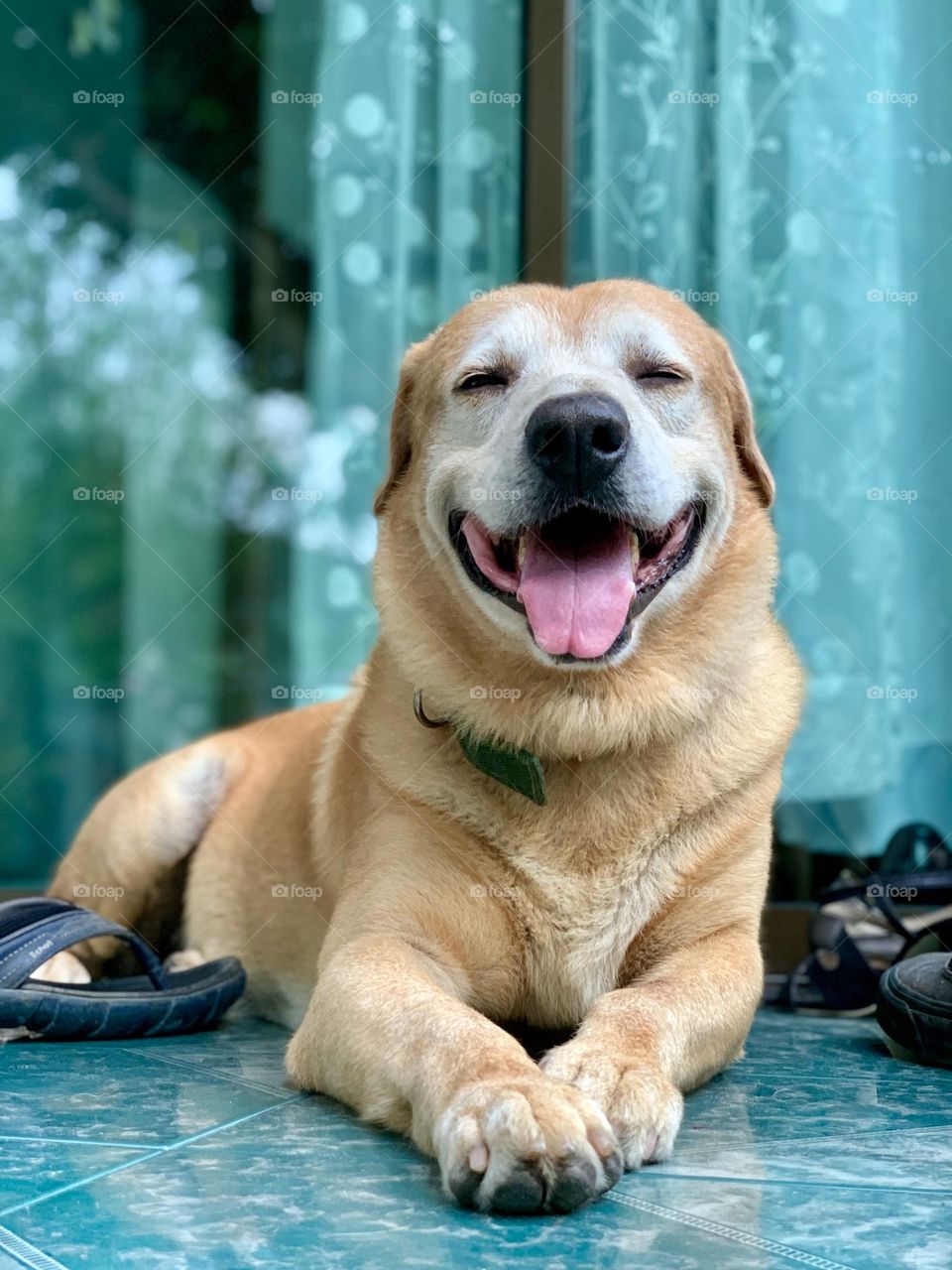 Hello my lively and happy spring