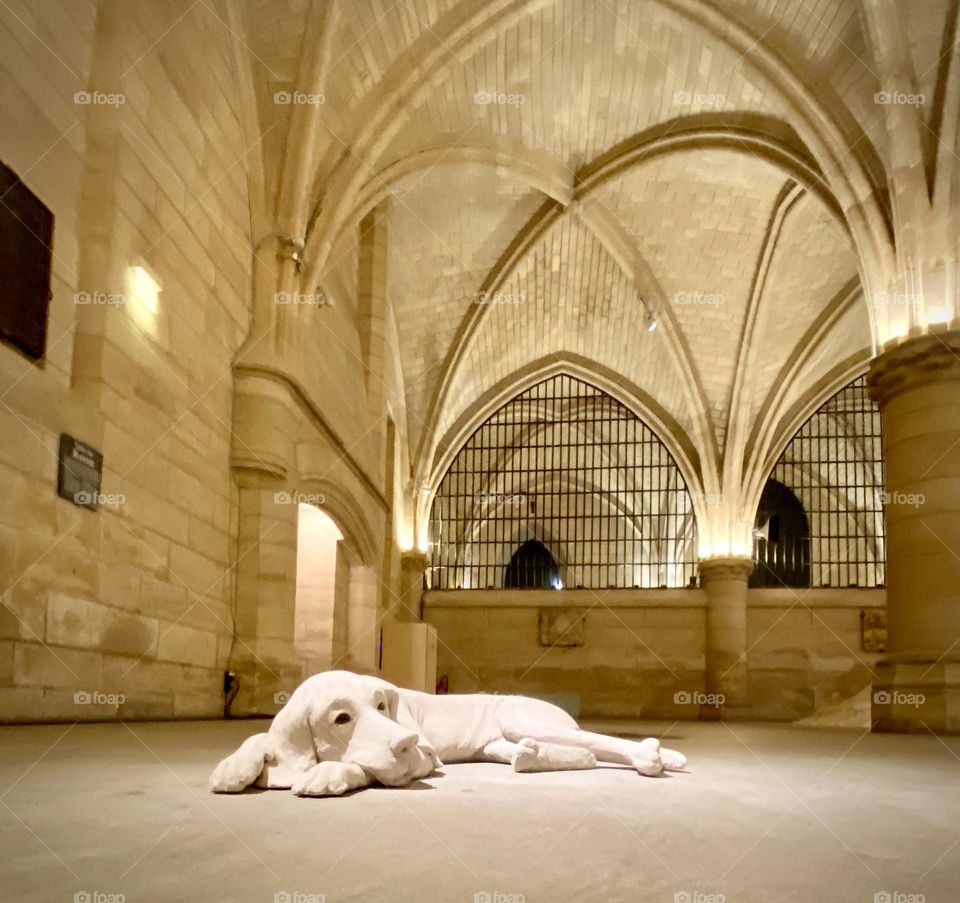 Paris , walk October 2022 .