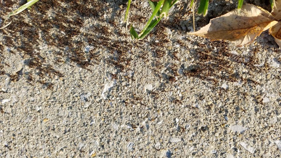 Desktop, Nature, Ground, Texture, Stone