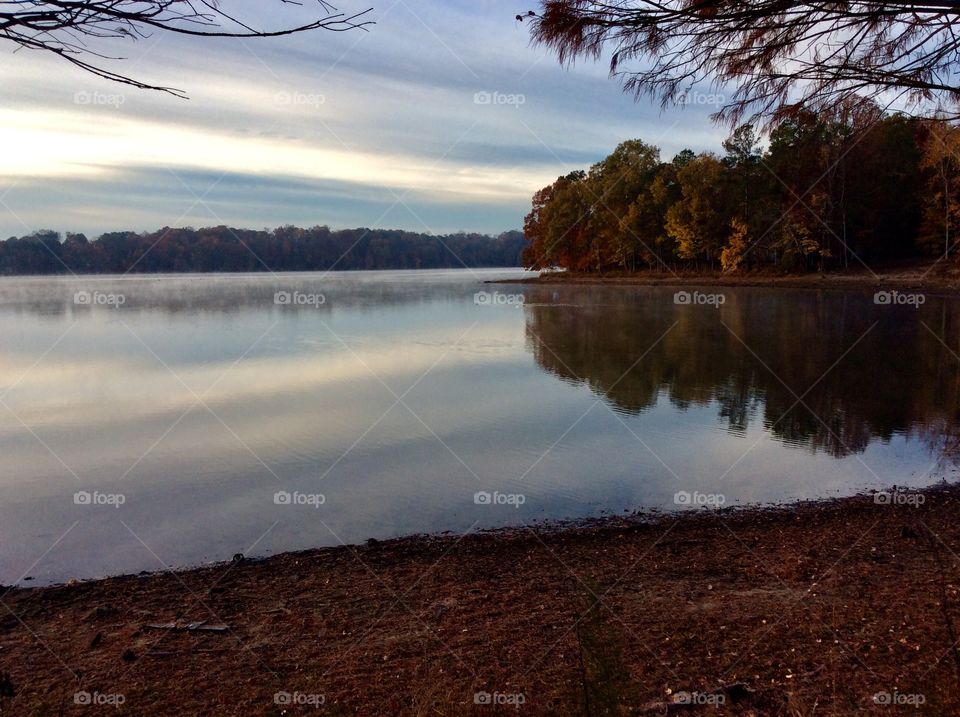 Lake Benson in the early morning