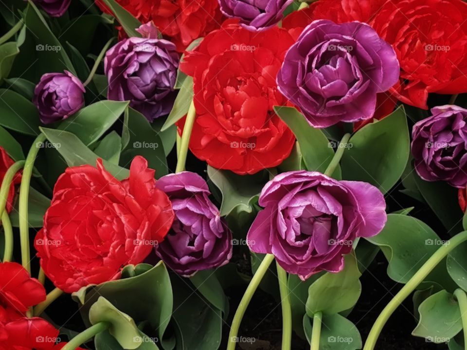 Splash colors colorful nature wild street day sun design decor view outside outdoor beauty shades shape