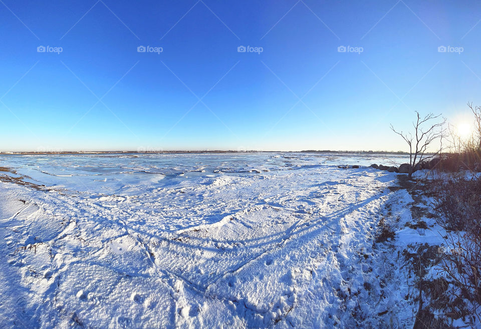 Frozen marshland in Connecticut during the winter 