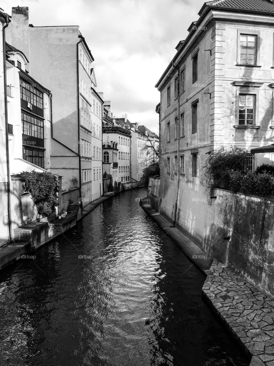 Prague Czech River 