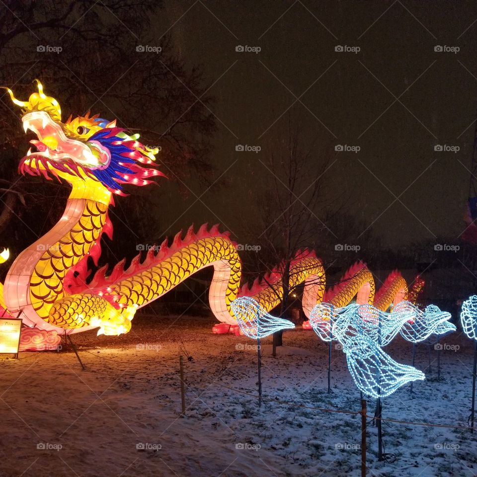 Illuminated silk dragon