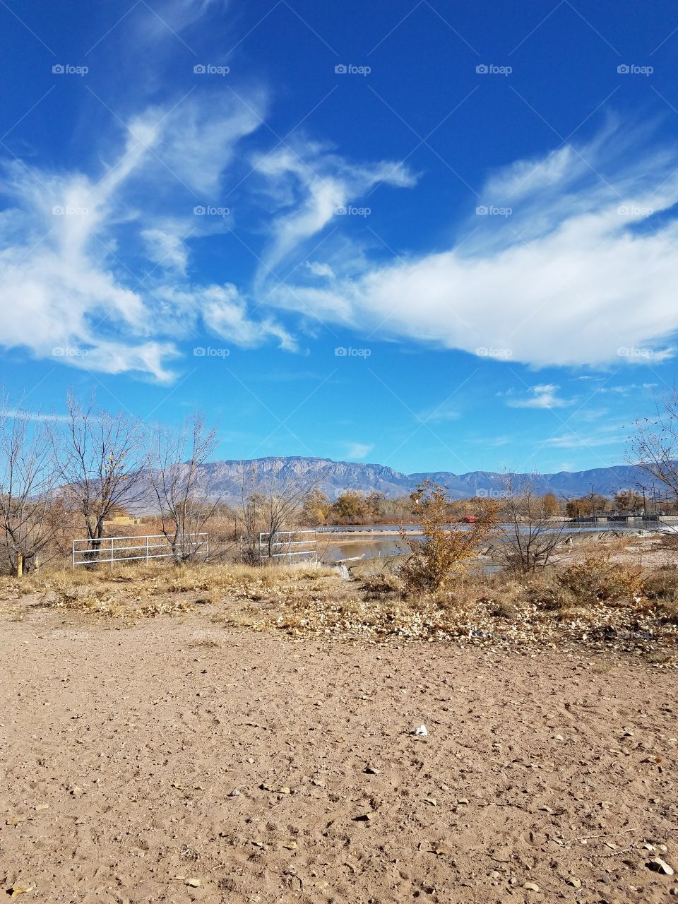 New Mexico in the fall