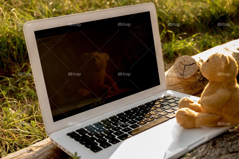 Teddy Bear sitting on a notebook 