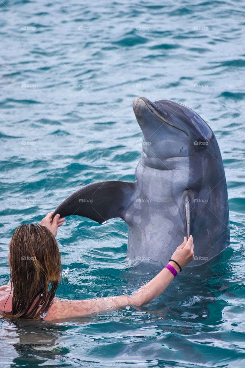 Let's dance with a dolphin