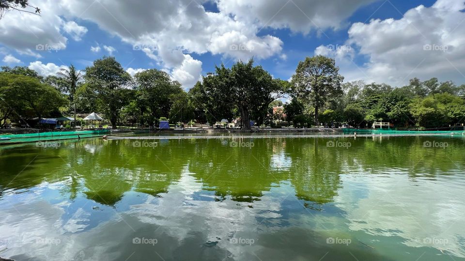 Reflection on the lake 