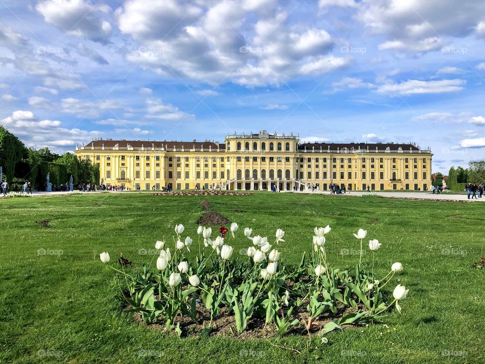 Schonbrunn palace