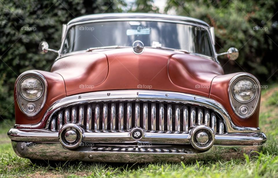 Bagged Buick 