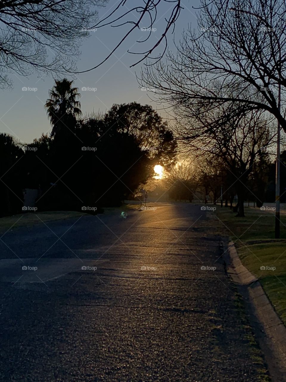 Beautiful sunrise on our morning run. Early bird catches the worm - in this case early bird caught the sunrise!