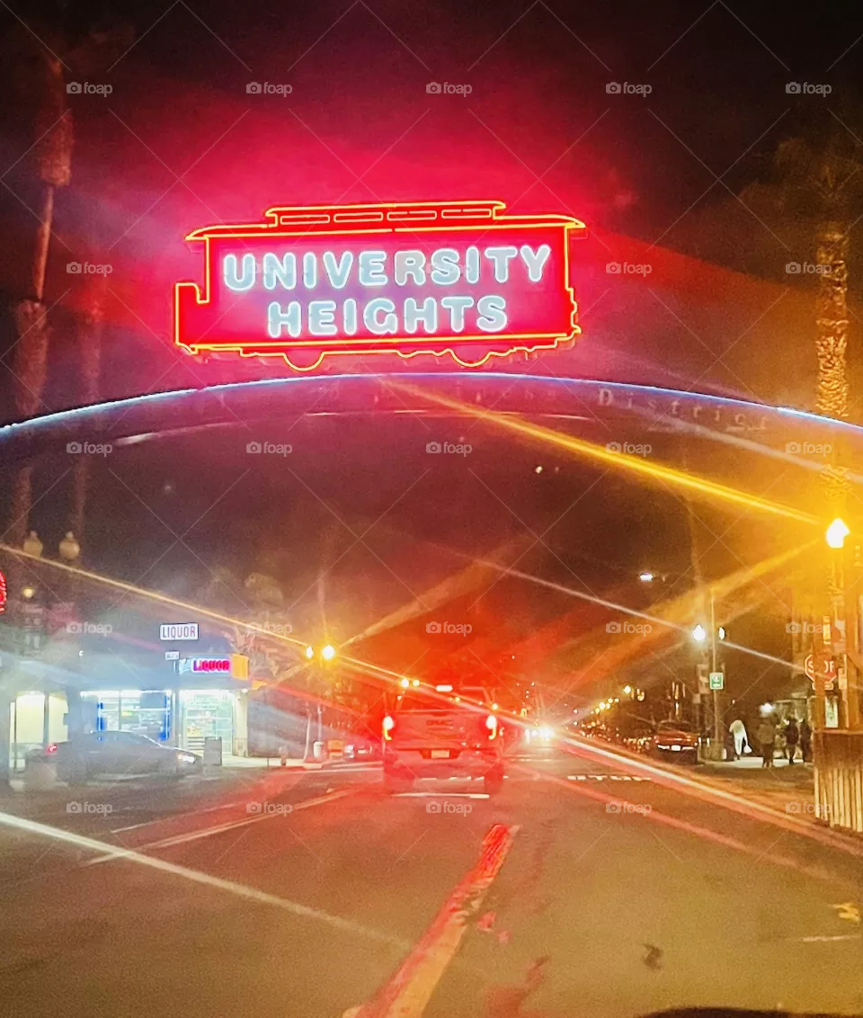 Night neon 