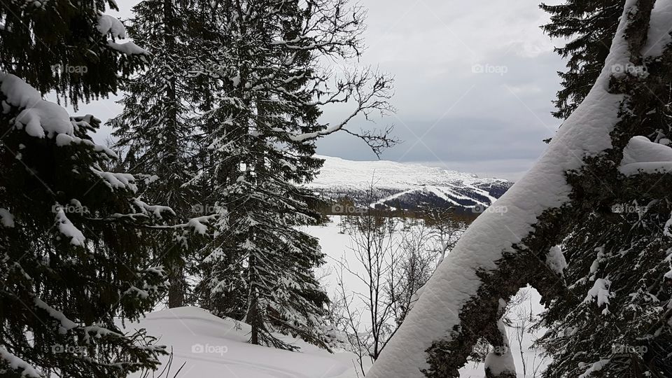 Winter on the mountains