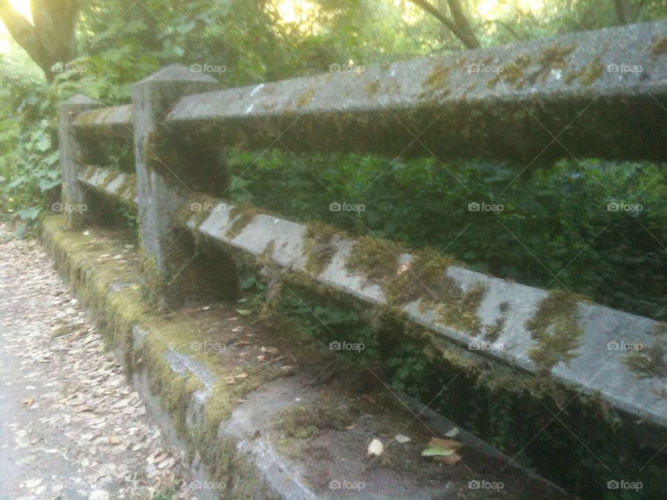 Little mossy bridge