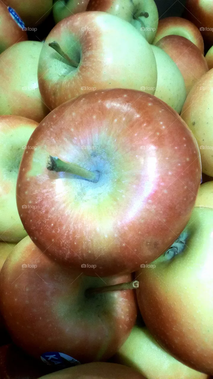 Fruit