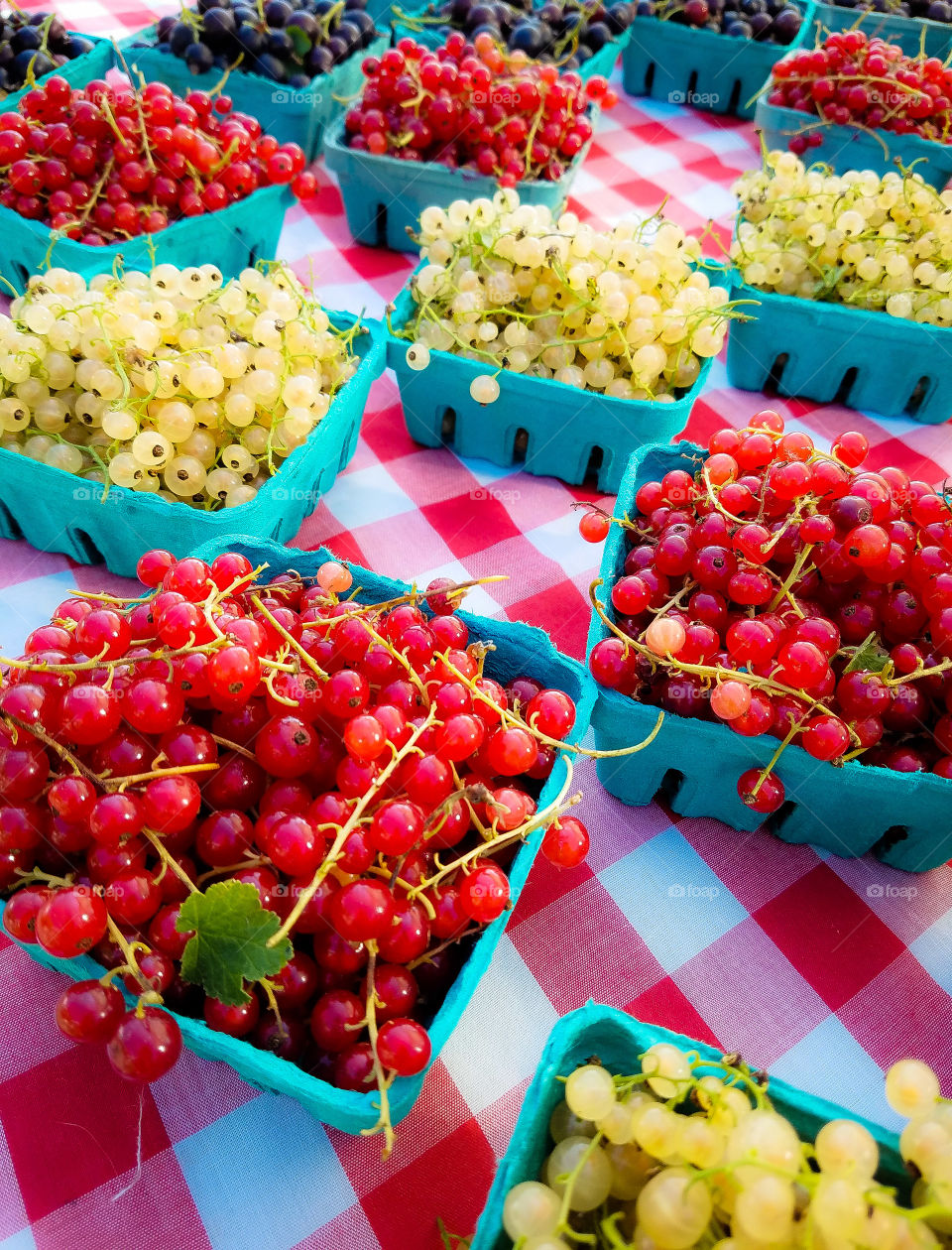 currants at the farmers market