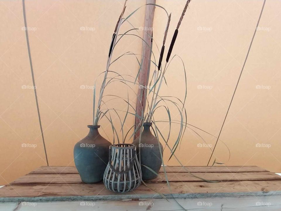 open cafe zoo odense