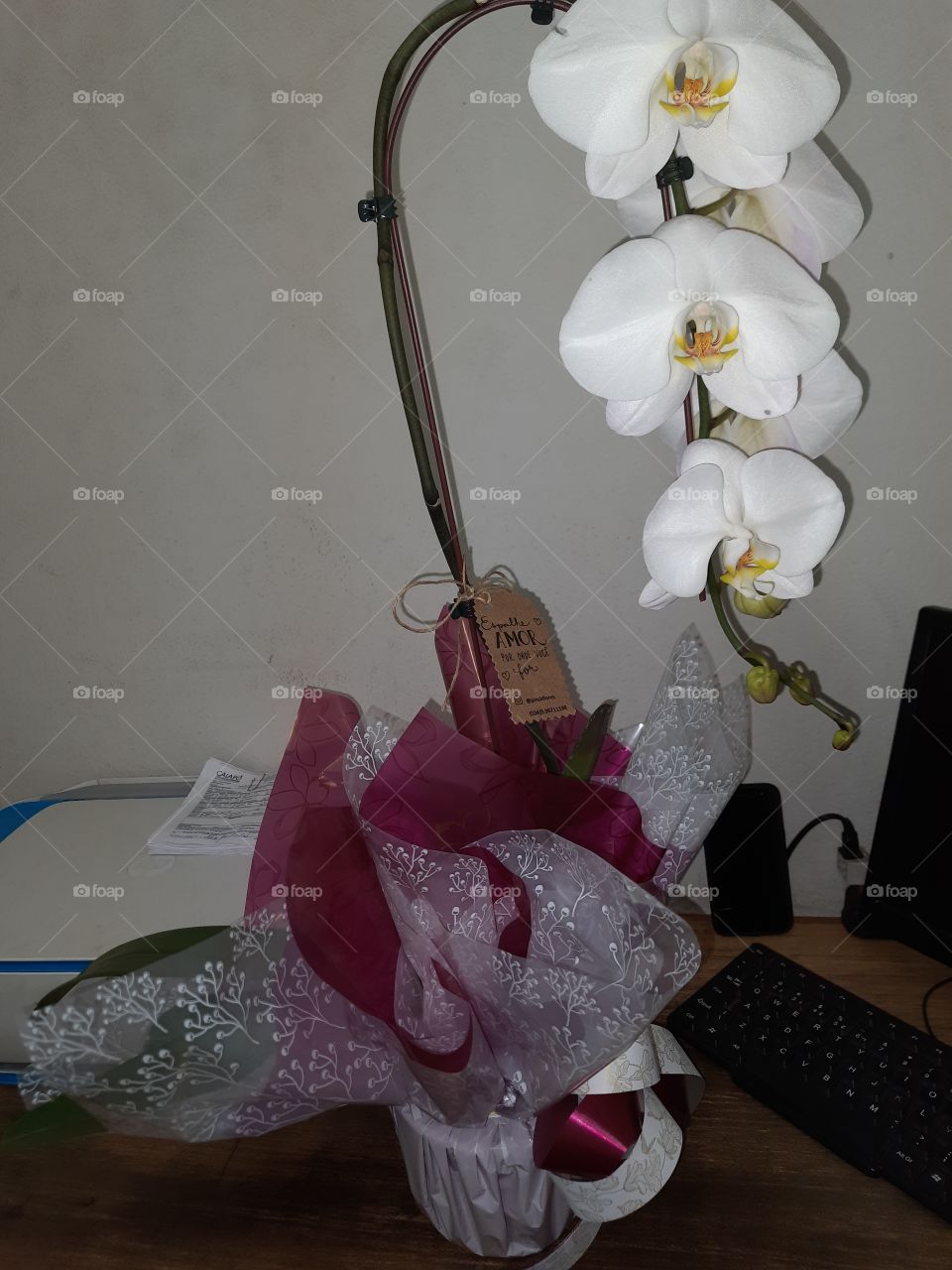 orchid on the work table