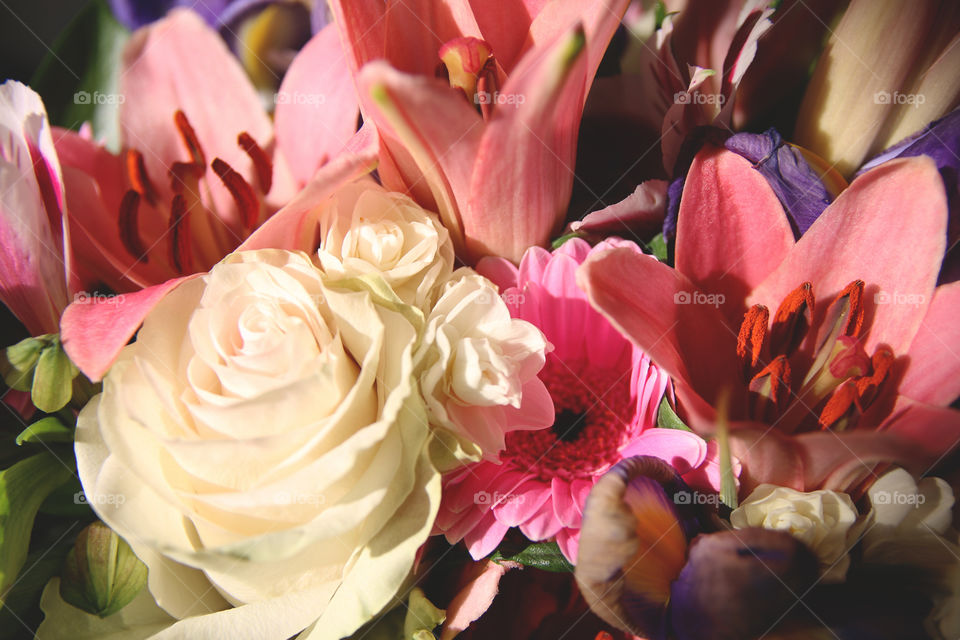 Mum's Birthday ❤️