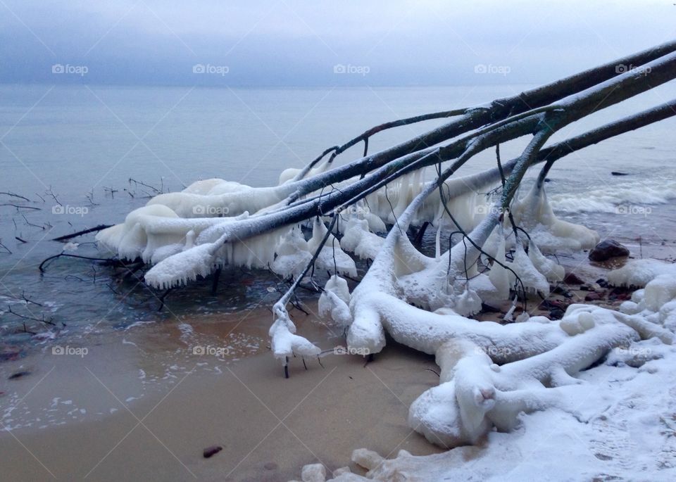 Water, Winter, Ice, Snow, Landscape