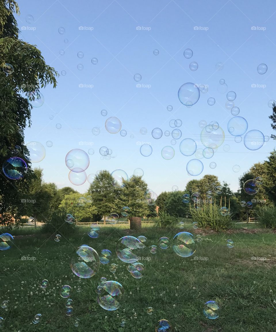 Summer Bubble fun 